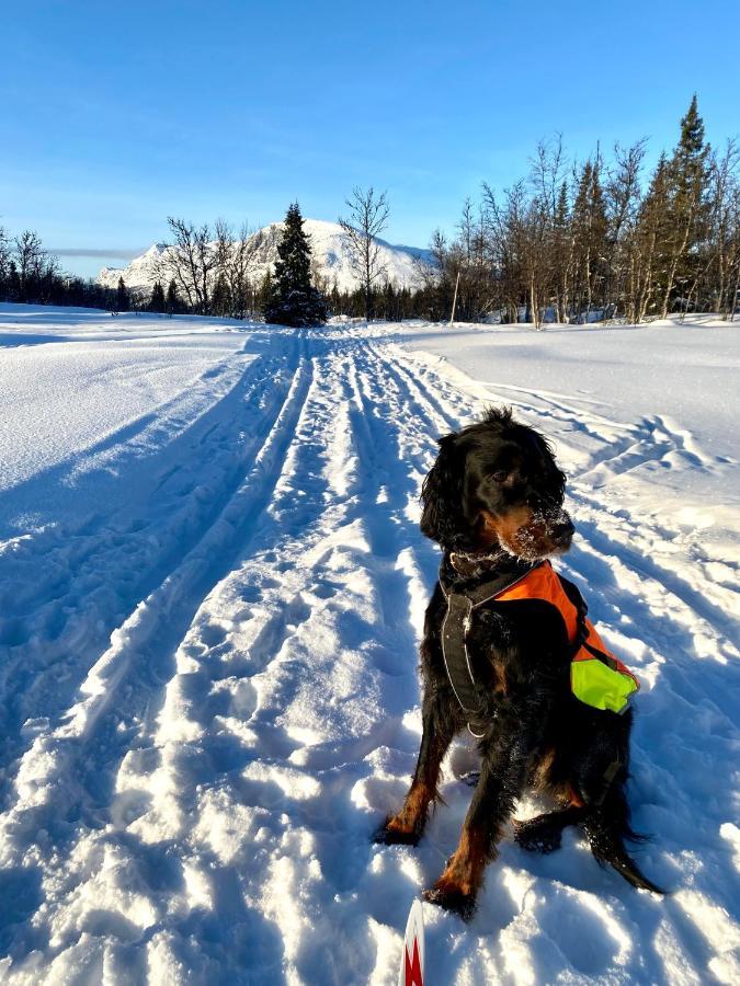 Hyggelig Leilighet I Sentrum Hemsedal Dış mekan fotoğraf