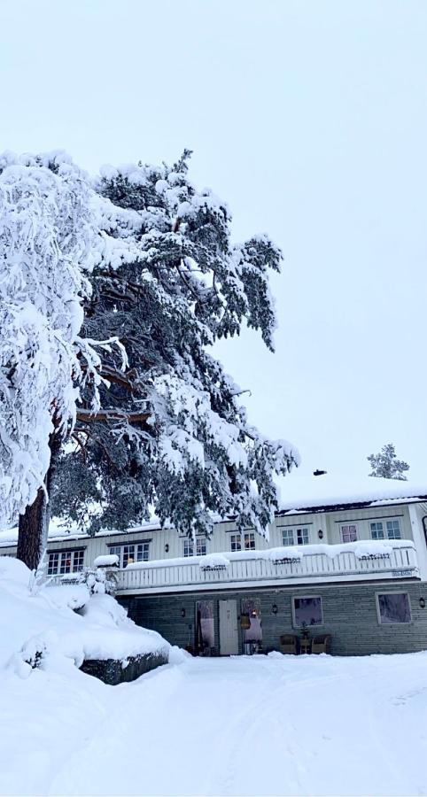 Hyggelig Leilighet I Sentrum Hemsedal Dış mekan fotoğraf