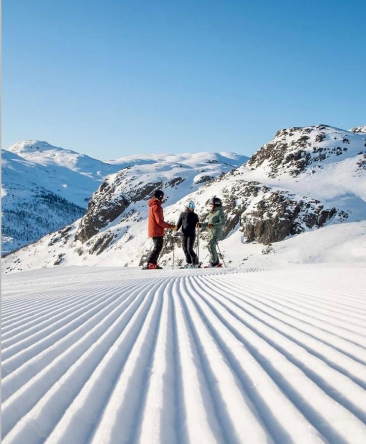 Hyggelig Leilighet I Sentrum Hemsedal Dış mekan fotoğraf